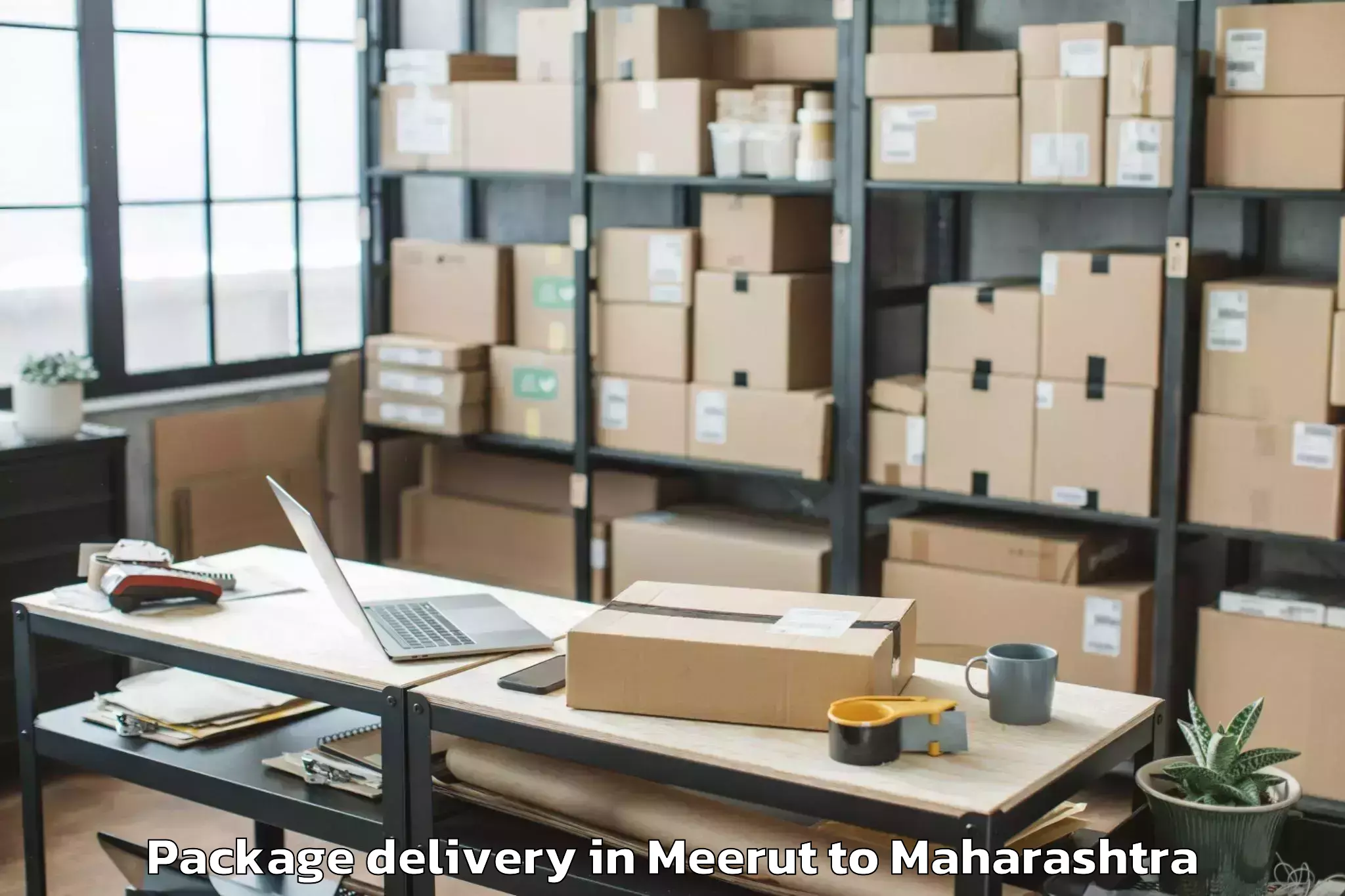 Trusted Meerut to Pimpalgaon Baswant Package Delivery